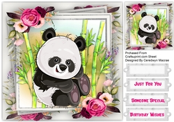 Adorable Panda