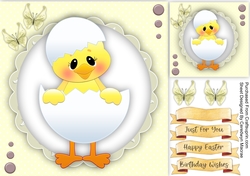 Cute Duckilingin a Shell