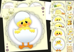 6, Cute Ducklibgs Cad Fronts + 3 Inserts