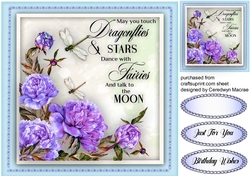Beautiful Dragonflies and Stars 4