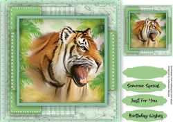 Tiger ,Tiger
