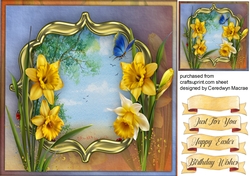 Spring Daffs and Butterfly