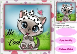 Be Cool Cat