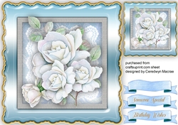 Beautiful White Summer Roses