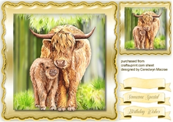 Mom and Baby Highland Coo