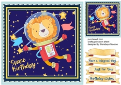 Lions  Space Birthday