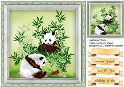 Pandas in the Bamboo