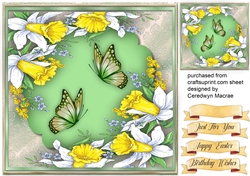 Daffs and Butterflies
