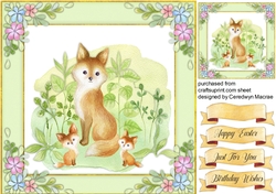 Beautiful Fox Family