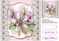 Beautiful Lilac Magnolias