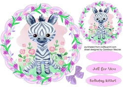 Baby Zebra in a Flower Frame