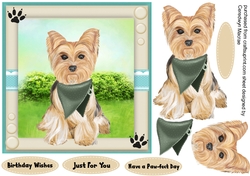 Beautiful Yorkie in the Garden