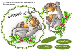 Hedgehogs Mistletoe Kiss