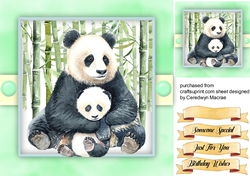 Beautiful Panda and Baby
