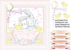 Rabbits Birthday Bath , Pink