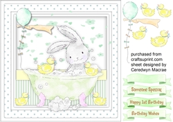 Rabbits Birthday Bath , Green