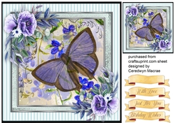 Beautiful Blue Butterfly and Anemonies