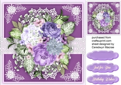 Violet Bliss on Lace