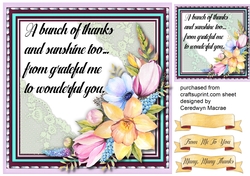 A Bunch Of Thanks 2
