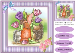 Tulip and Hogs