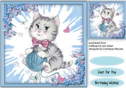 Kitty Cat With Blue Wool