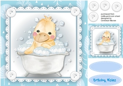 Duckys Bath Time