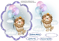 Lions Balloon Ride