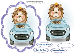 Lions Car