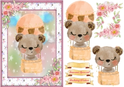 A5, Bears Air Balloon