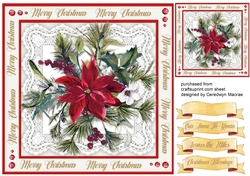 Beautiful Poinsettia on Lace