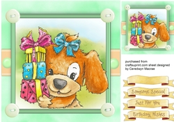 Dilly Dogs Birthday Presents 