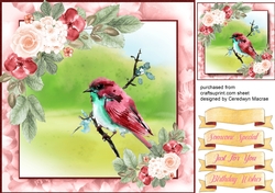 Beautiful Red Bird on a Branch