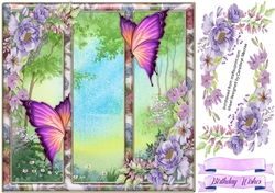 Butterflys in the Frame 1