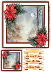 Beautiful Poinsettias and Moonlit Walk