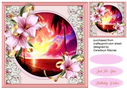 Pink Sunset