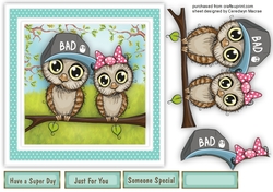 Owls on Tree Branch