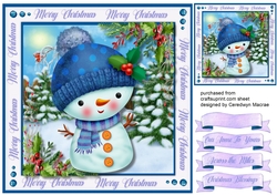 Cute Snowbabe in Wolly Hat