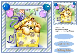 Teddys Suprise Box