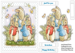 Peter Rabbit and Family
