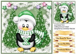 Penguin in a Green Scarf