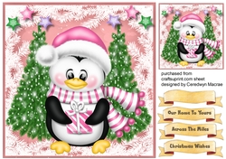 Penguin in a Pink Scarf