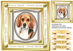 Beautiful Beagle Dog