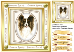Beautiful Papillion Dog