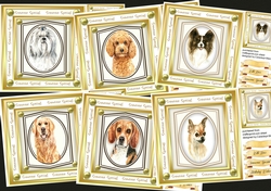 6, Lovely Dogs in a Gold frame