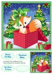 Fox in a Box