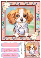 Adorable King Charles Pup