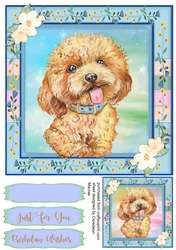 Adorable Labradoodle  Pup