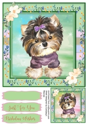Adorable Yorkie   Pup with Bow