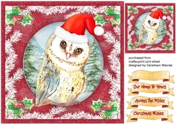 Cute Owl in a Christmas Hat
