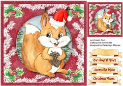 Cute Squirrel  in a Christmas Hat 